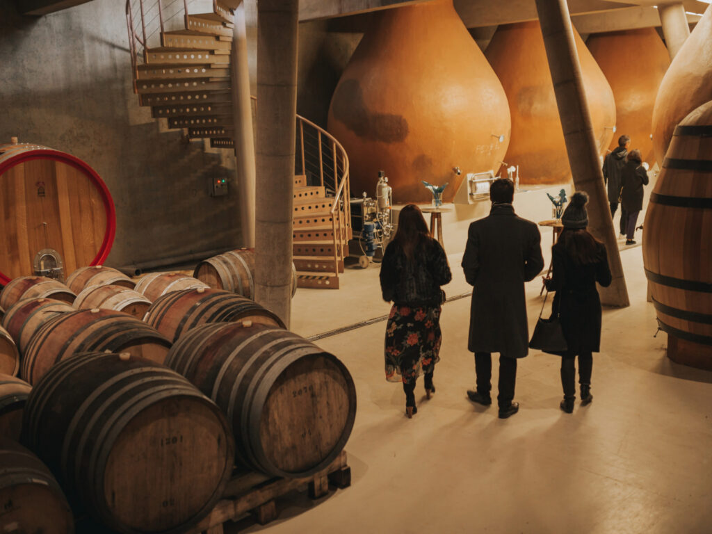 Casablanca Boutique Wine Experience - Imagen 3